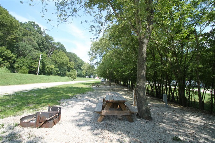 Shady interior campsites